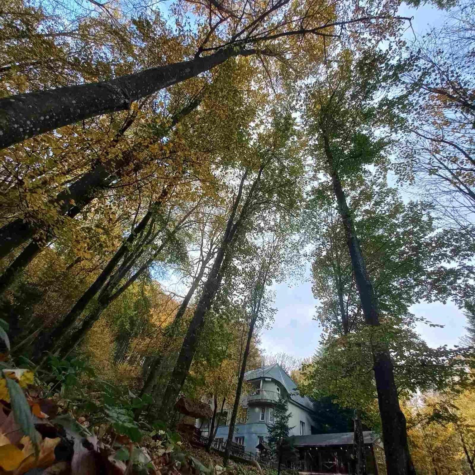 База Відпочинку Шиповець Poroshkovo Exteriér fotografie